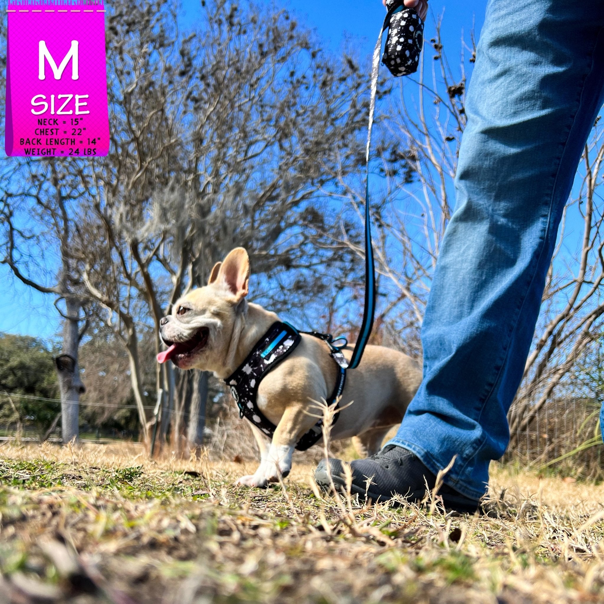 Weighted store dog leash