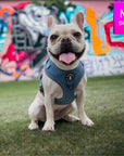 Denim Dog Harness - Reflective and No Pull - French Bulldog wearing Downtown Denim Dog Harness with reflective accents - sitting on green grass with a bright painted wall in background - Wag Trendz