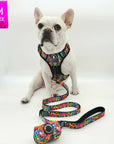 Dog Harness and Leash Set - French Bulldog wearing a medium no pull dog harness with handle  - multi colored Street Graffiti - with matching adjustable leash and poop bag holder - against solid white background - Wag Trendz