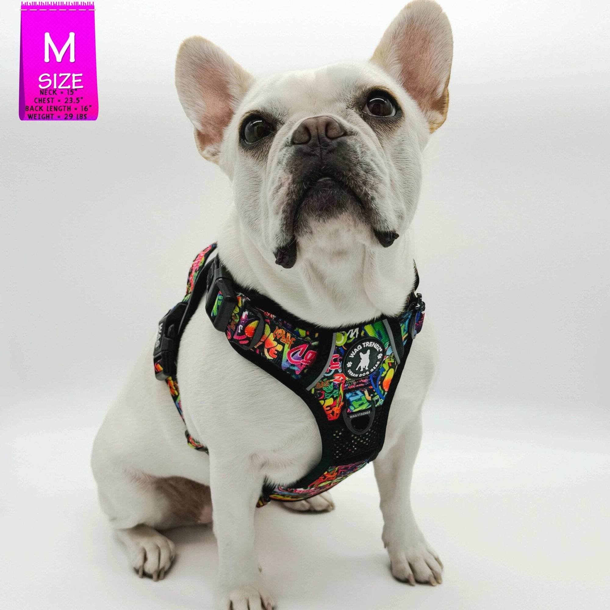 Dog Harness and Leash Set - French Bulldog wearing a medium no pull dog harness with handle - multi colored Street Graffiti - against solid white background - Wag Trendz