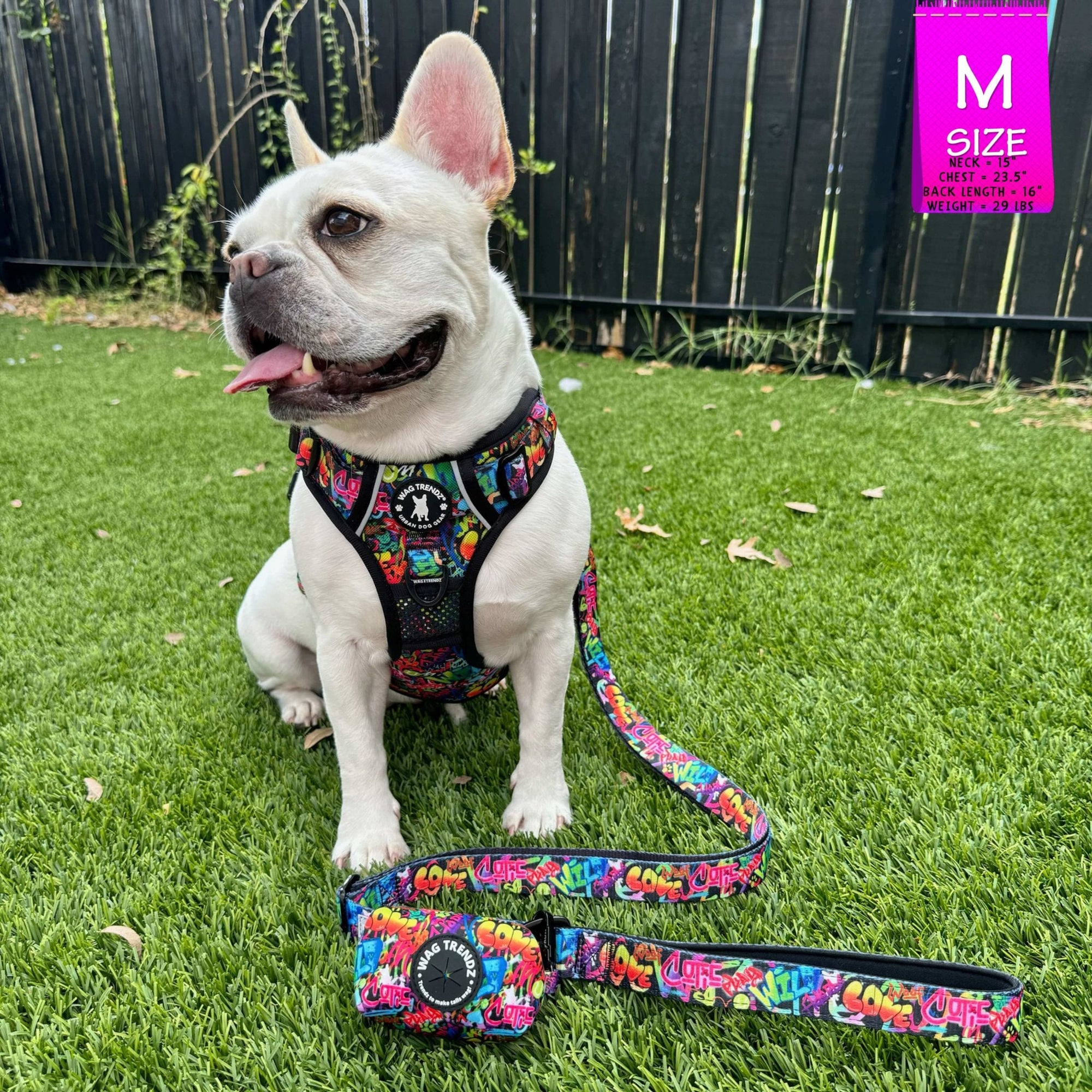 Dog Harness and Leash Set - French Bulldog wearing a medium no pull dog harness with handle - multi colored Street Graffiti - with matching adjustable leash and poop bag holder - sitting outdoors in the grass - Wag Trendz