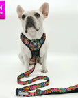 Dog Harness and Leash Set - French Bulldog wearing a medium no pull dog harness with handle - multi colored Street Graffiti - with matching adjustable leash - against solid white background - Wag Trendz