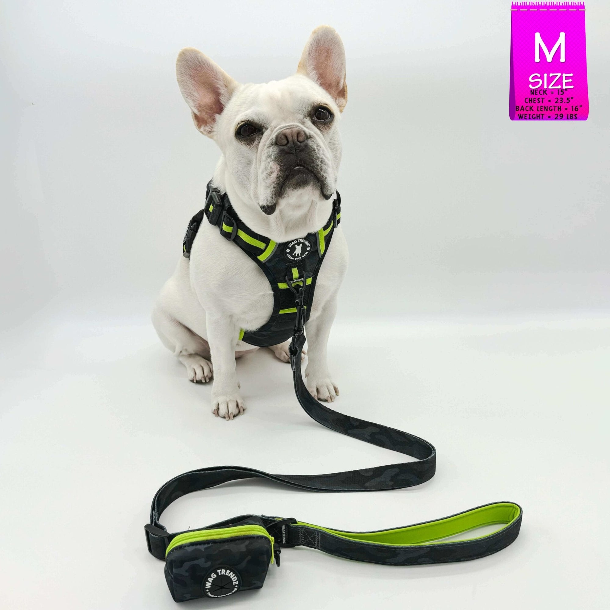 Dog Harness and Leash Set + Poo Bag Holder - French Bulldog wearing Medium no pull harness with handle in black and gray camo with hi vis accents - with matching adjustable leash and poop bag holder attached - against a solid white background - Wag Trendz