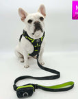 Dog Harness and Leash Set + Poo Bag Holder - French Bulldog wearing Medium no pull harness with handle in black and gray camo with hi vis accents - with matching adjustable leash and poop bag holder attached - against a solid white background - Wag Trendz