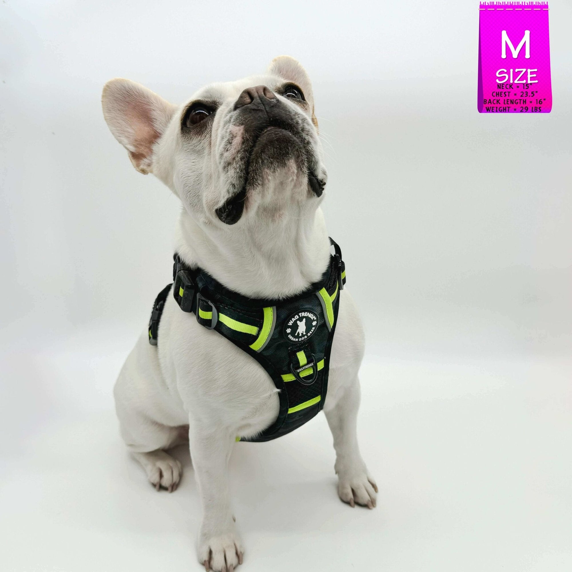 Dog Harness and Leash Set + Poo Bag Holder - French Bulldog wearing Medium no pull harness with handle in black and gray camo with hi vis accents - against a solid white background - Wag Trendz