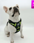 Dog Harness and Leash Set + Poo Bag Holder - French Bulldog wearing Medium no pull harness with handle in black and gray camo with hi vis accents - against a solid white background - Wag Trendz