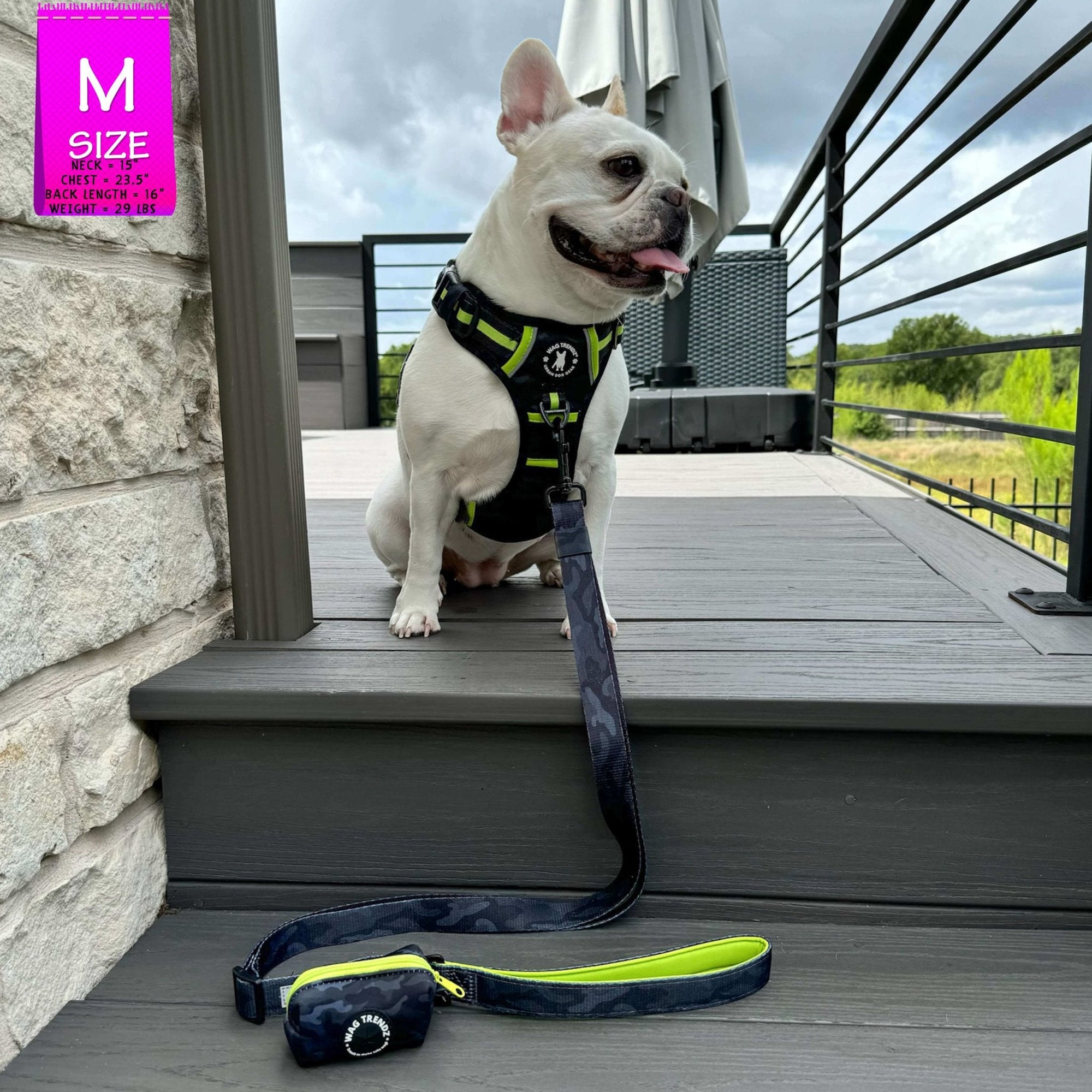Dog Harness and Leash Set + Poo Bag Holder - French Bulldog wearing Medium no pull harness with handle in black and gray camo with hi vis accents - with matching adjustable leash and poop bag holder attached - sitting on a grey deck outdoors - Wag Trendz