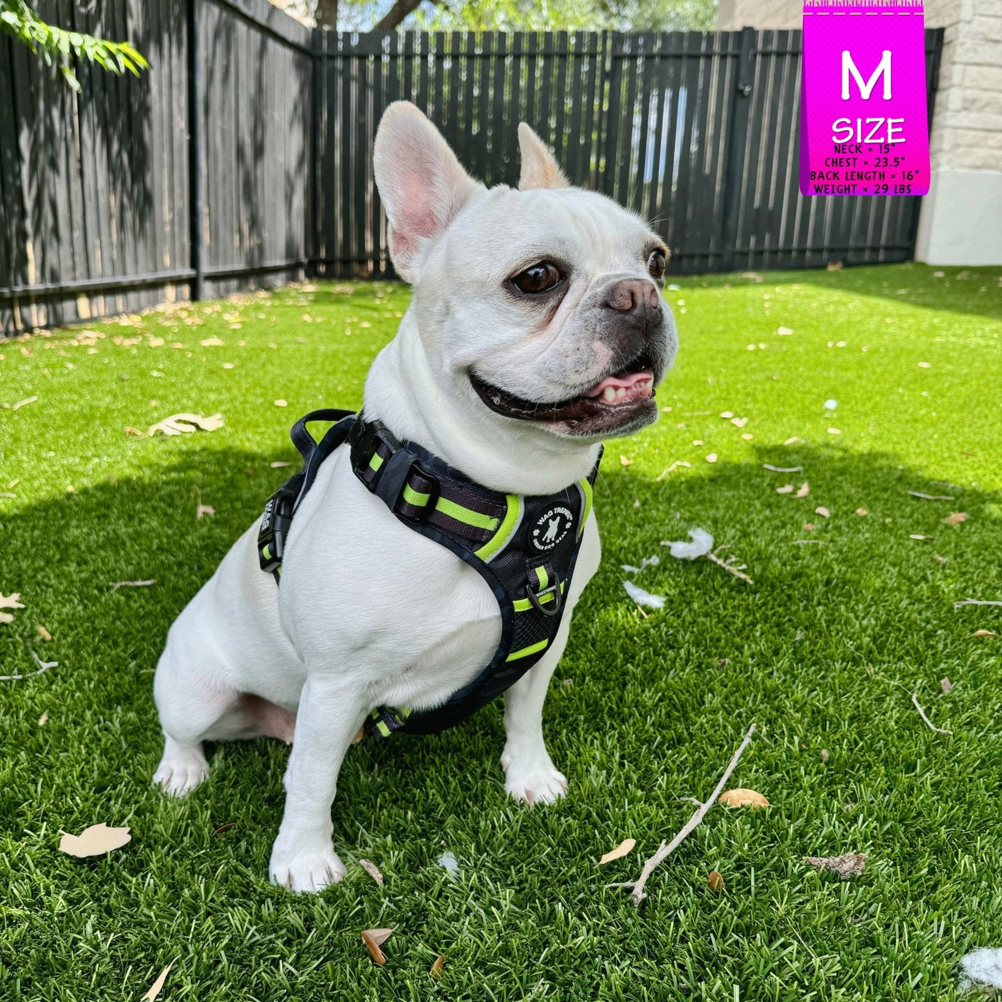 Dog Harness and Leash Set + Poo Bag Holder - French Bulldog wearing Medium no pull harness with handle in black and gray camo with hi vis accents - sitting outdoors in green grass - Wag Trendz