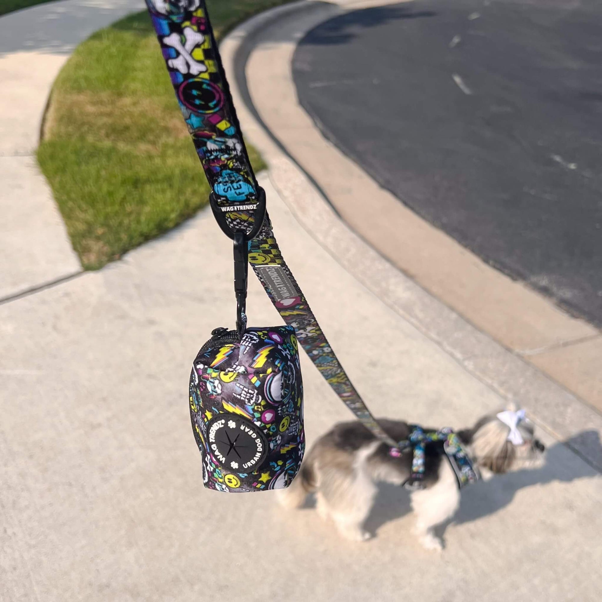 Dog Poop Bag Holder - Skull Society with multicolored graphics in yellow, blue, purple with black background - attached to matching leash with dog in background standing outdoors - Wag Trendz