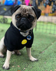 Hooded Sweatshirt For Dogs - Pug wearing Ball Brain hooded sweatshirt - black with yellow writing - sitting outdoors in the grass- Wag Trendz