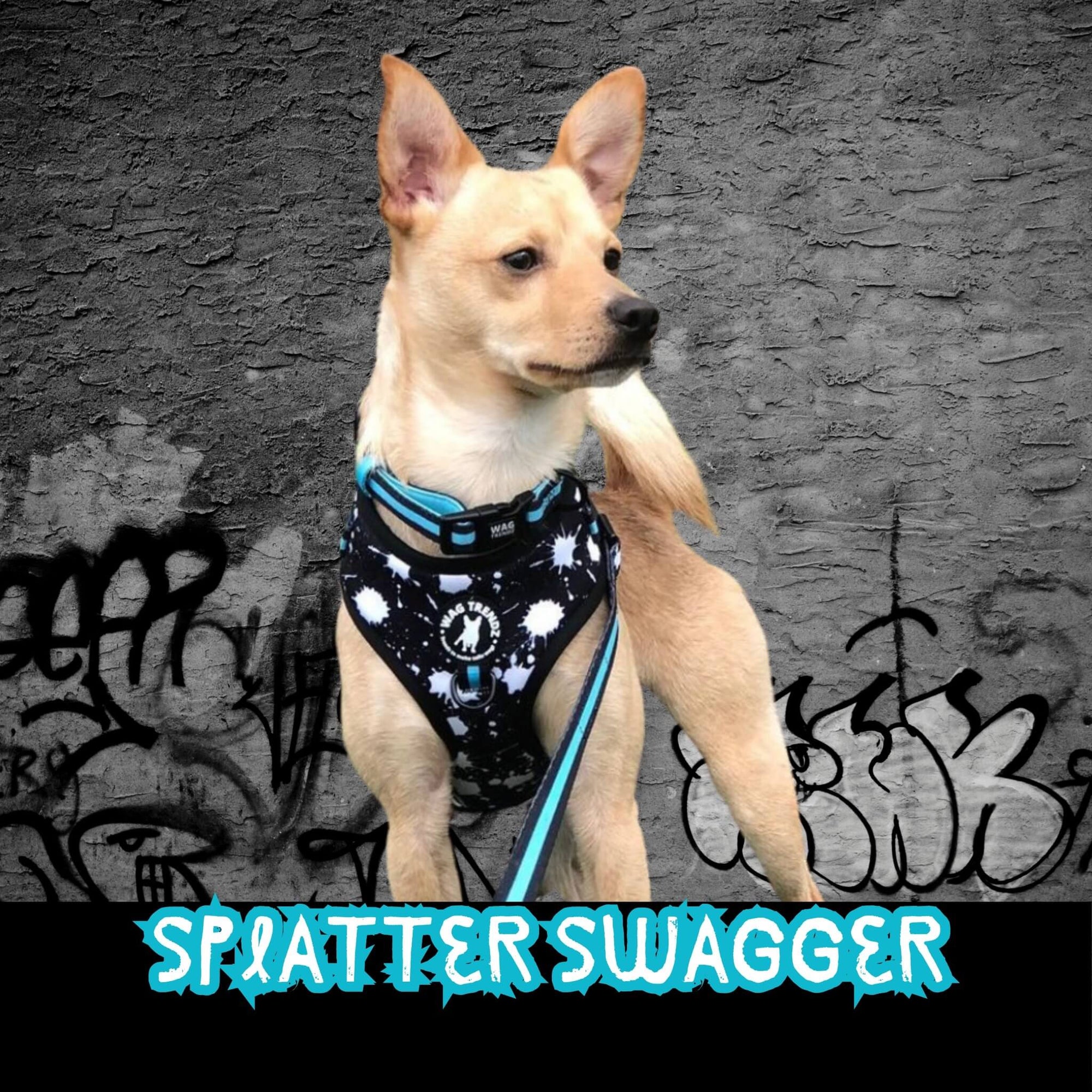 No Pull Dog Harness in Splatter Swagger worn by Chihuahua against black and gray graffiti wall