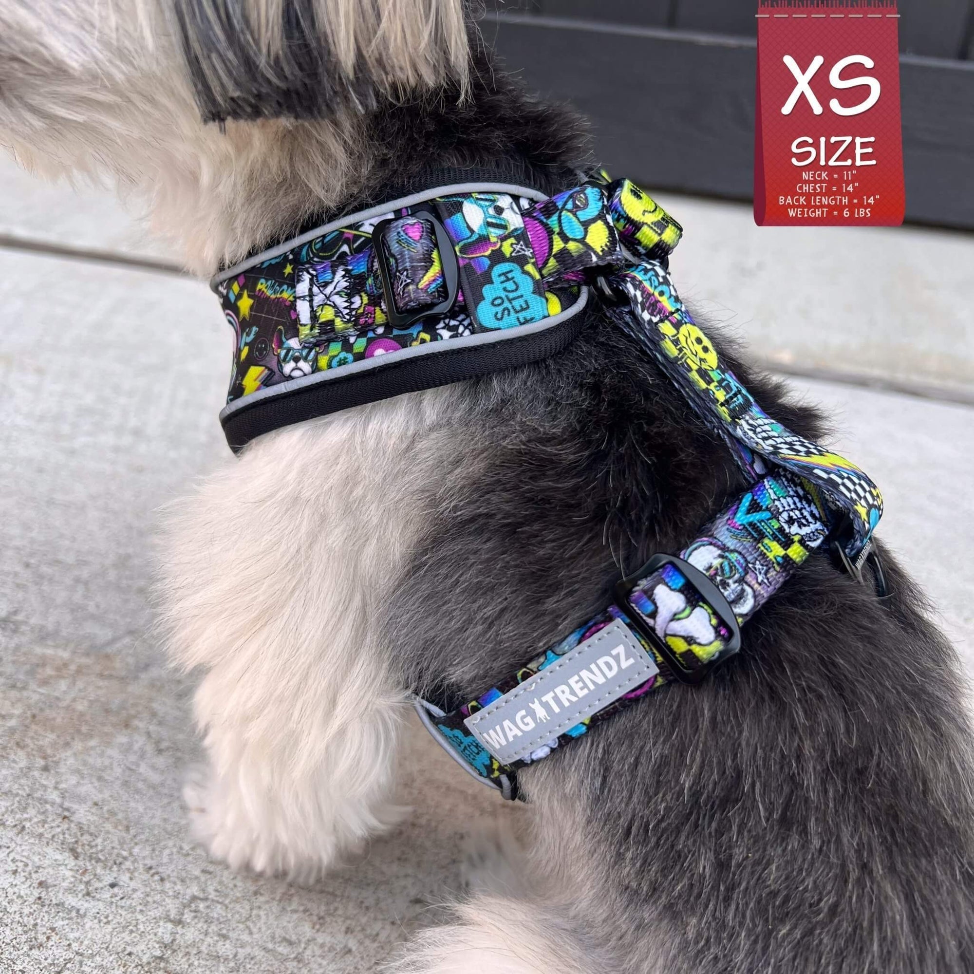 No Pull Dog Harness - Mix Breed dog wearing Skull Society harness with multicolored graphics in yellow, blue, purple with black background - chest and back side - sitting outdoors - Wag Trendz