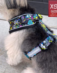 No Pull Dog Harness - Mix Breed dog wearing Skull Society harness with multicolored graphics in yellow, blue, purple with black background - chest and back side - sitting outdoors - Wag Trendz