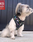 No Pull Dog Harness - Shih Tzu Mix wearing Skull Society harness with multicolored graphics in yellow, blue, purple with black background - chest and back side - sitting outdoors - Wag Trendz