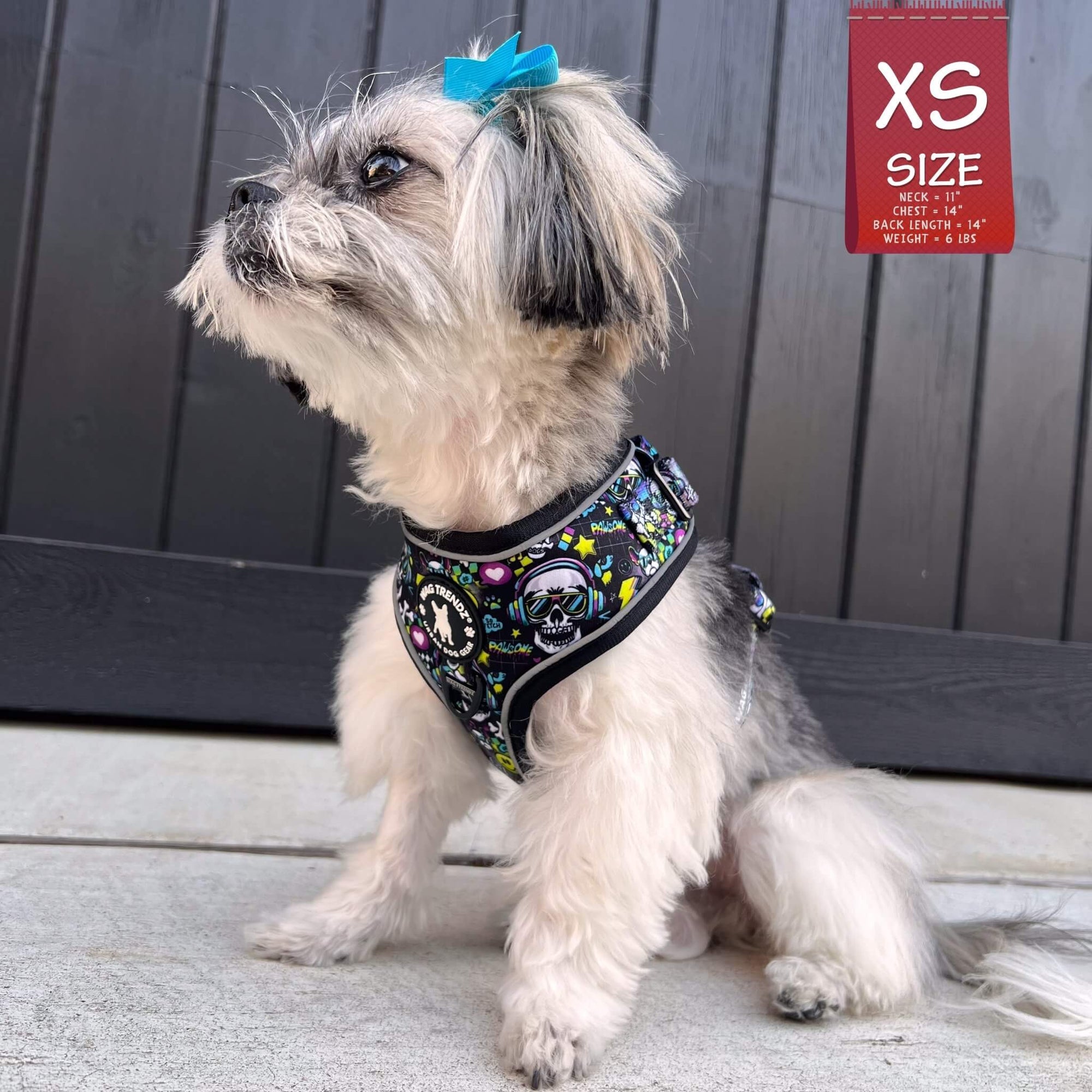 No Pull Dog Harness -Shih Tzu mix wearing Skull Society harness with multicolored graphics in yellow, blue, purple with black background - chest and back side - sitting outdoors - Wag Trendz