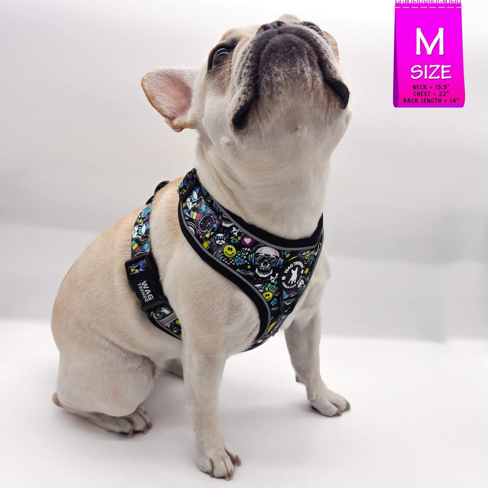 No Pull Dog Harness - French Bulldog wearing Skull Society harness with multicolored graphics in yellow, blue, purple with black background - against solid white background - Wag Trendz