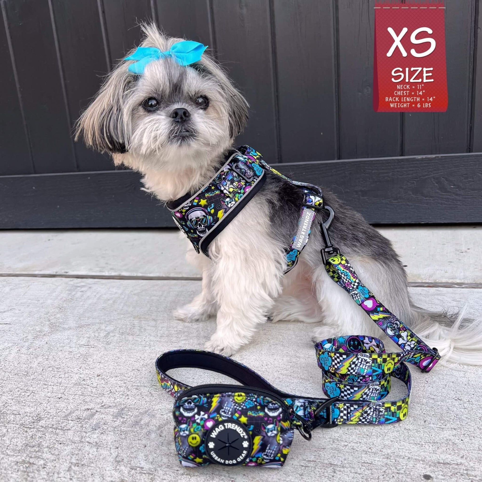 No Pull Dog Harness - Shih Tzu mix wearing Skull Society harness, matching leash and poop bag holder attached -with multicolored graphics in yellow, blue, purple with black background - sitting outdoors - Wag Trendz