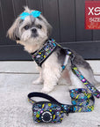 No Pull Dog Harness - Shih Tzu mix wearing Skull Society harness, matching leash and poop bag holder attached -with multicolored graphics in yellow, blue, purple with black background - sitting outdoors - Wag Trendz