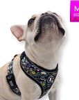 No Pull Dog Harness - French Bulldog wearing Skull Society harness with multicolored graphics in yellow, blue, purple with black background - against solid white background - Wag Trendz