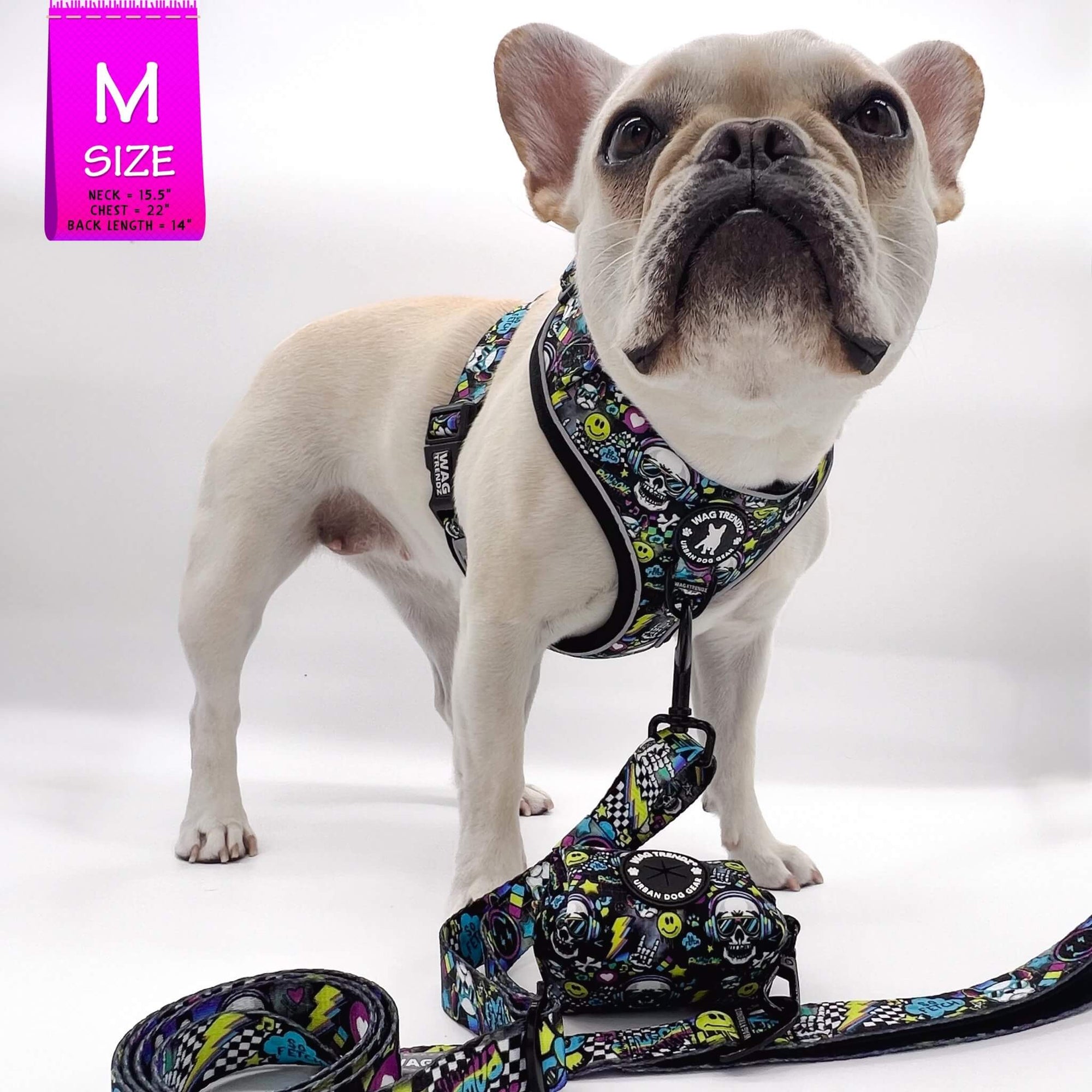 No Pull Dog Harness - French Bulldog wearing Skull Society harness with multicolored graphics in yellow, blue, purple with black background and matching leash and poop bag holder attached to front clip - against solid white background - Wag Trendz