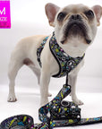 No Pull Dog Harness - French Bulldog wearing Skull Society harness with multicolored graphics in yellow, blue, purple with black background and matching leash and poop bag holder attached to front clip - against solid white background - Wag Trendz