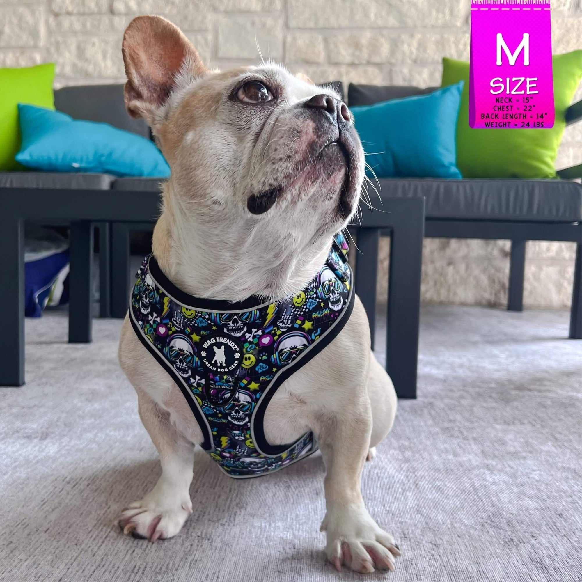 No Pull Dog Harness - Frenchie Bulldog wearing Skull Society harness with multicolored graphics in yellow, blue, purple with black background - sitting outdoors on a white rug - Wag Trendz