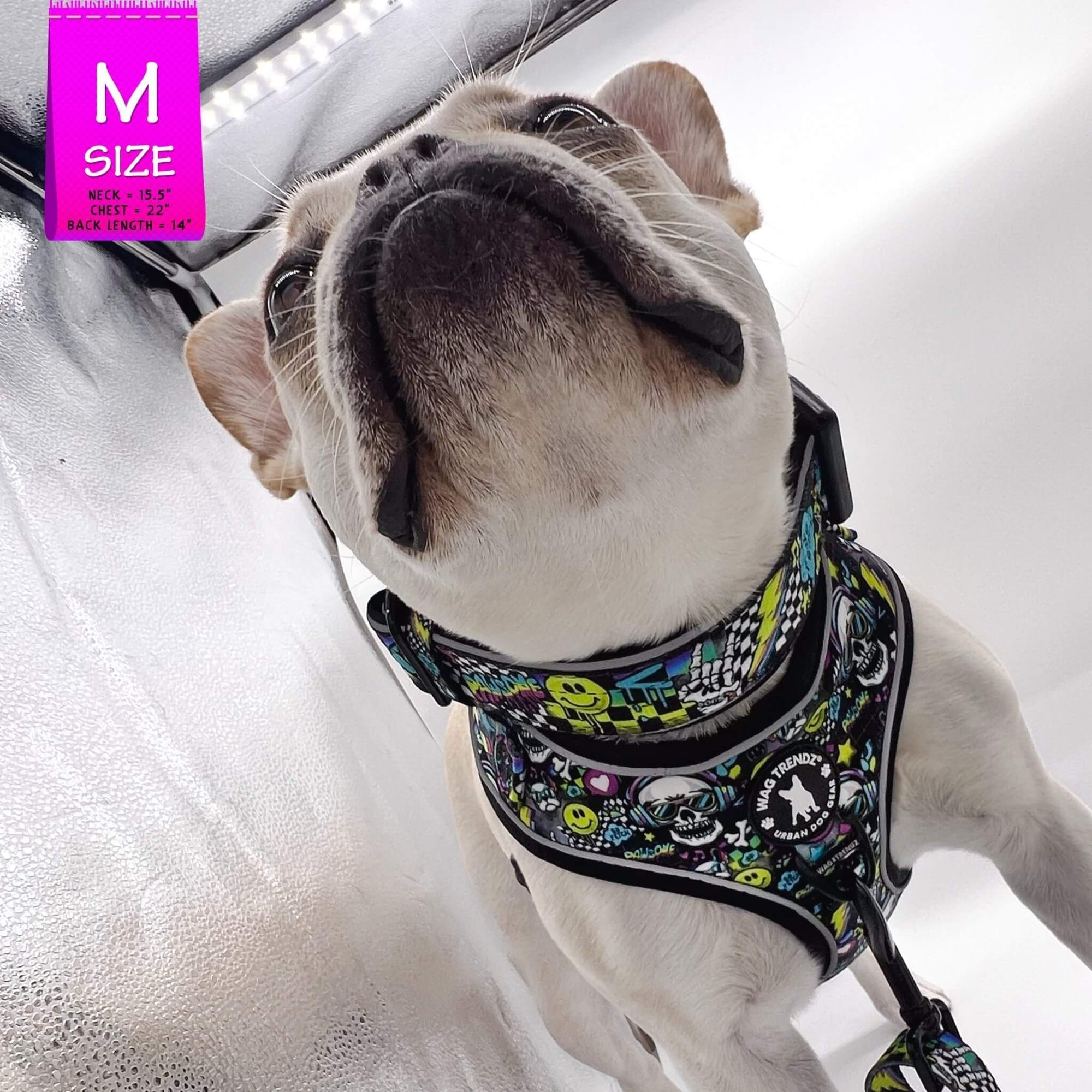 No Pull Dog Harness - French Bulldog wearing Skull Society harness and matching collar with multicolored graphics in yellow, blue, purple with black background - against solid white background - Wag Trendz