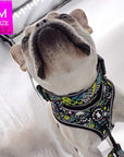 No Pull Dog Harness - French Bulldog wearing Skull Society harness and matching collar with multicolored graphics in yellow, blue, purple with black background - against solid white background - Wag Trendz