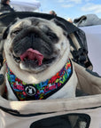 No Pull Dog Harness - Adjustable - Front Clip - Multicolored Street Graffiti no pull dog harness worn by fawn colored Pug sitting outside in a stroller - Wag Trendz