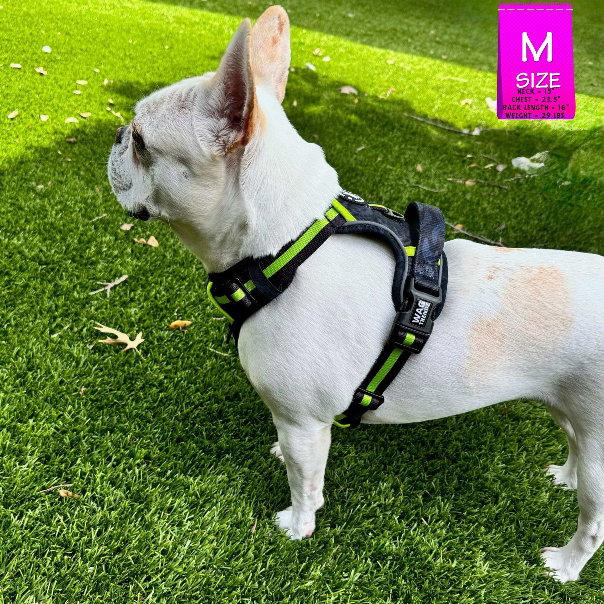 No Pull Dog Harness - with handle - French Bulldog wearing black and gray camo no pull dog harness with high visibility accents - standing outdoors in green grass - Wag Trendz