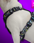 No Pull Dog Harness with Handle - Frenchie Bulldog wearing Skull Society harness with multicolored graphics in yellow, blue, purple with black background - against solid purple background - Wag Trendz