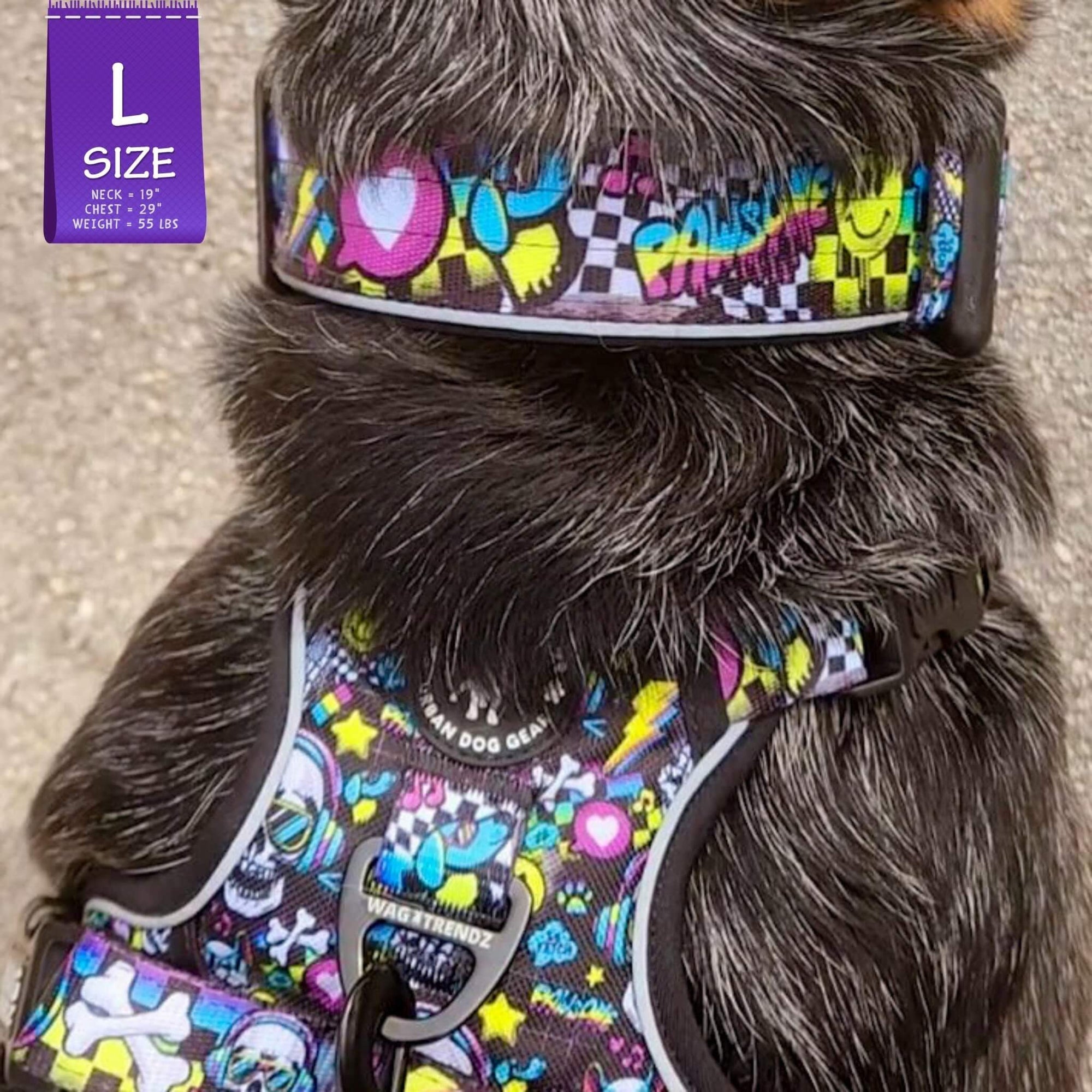 No Pull Dog Harness with Handle - Australian Cattle Dog wearing Skull Society harness and matching collar with multicolored graphics in yellow, blue, purple with black background - closeup - sitting outdoors - Wag Trendz