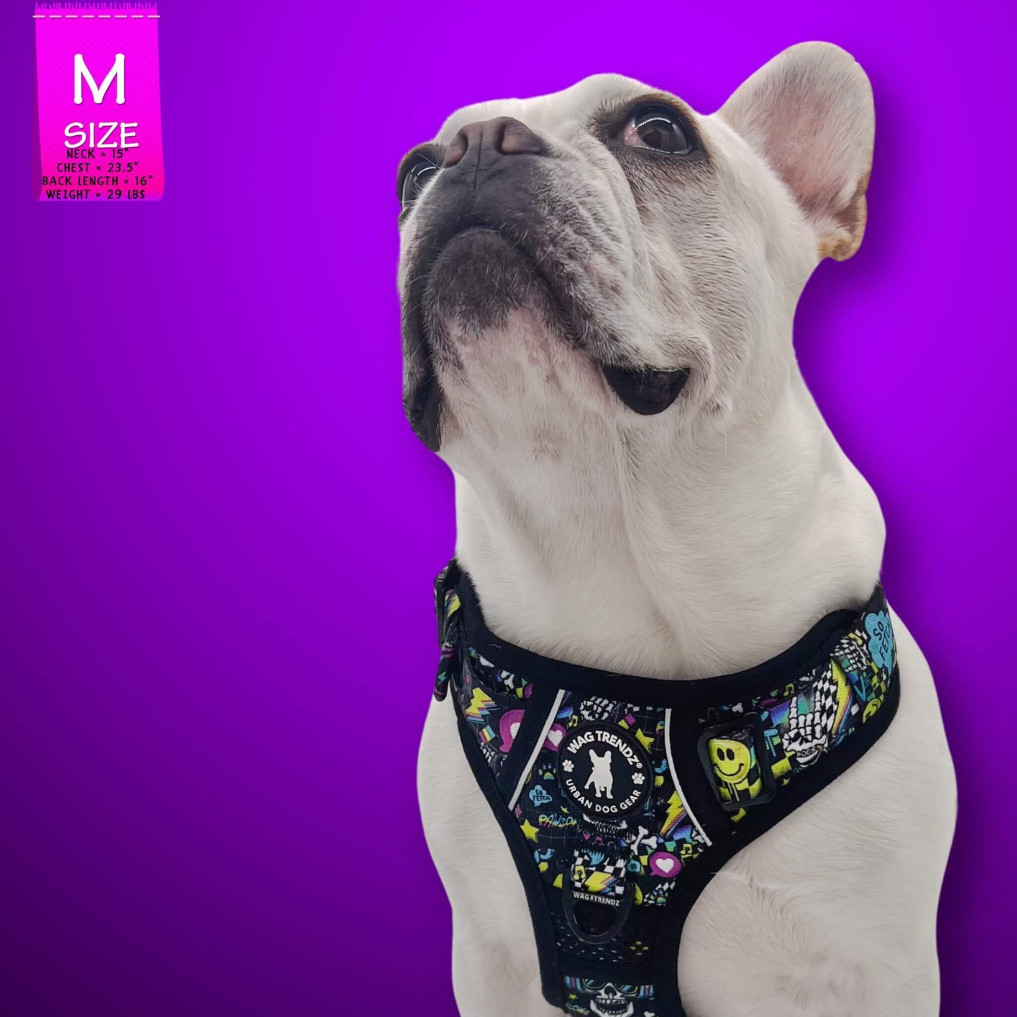 No Pull Dog Harness with Handle - Frenchie Bulldog wearing Skull Society harness with multicolored graphics in yellow, blue, purple with black background - against solid purple background - Wag Trendz