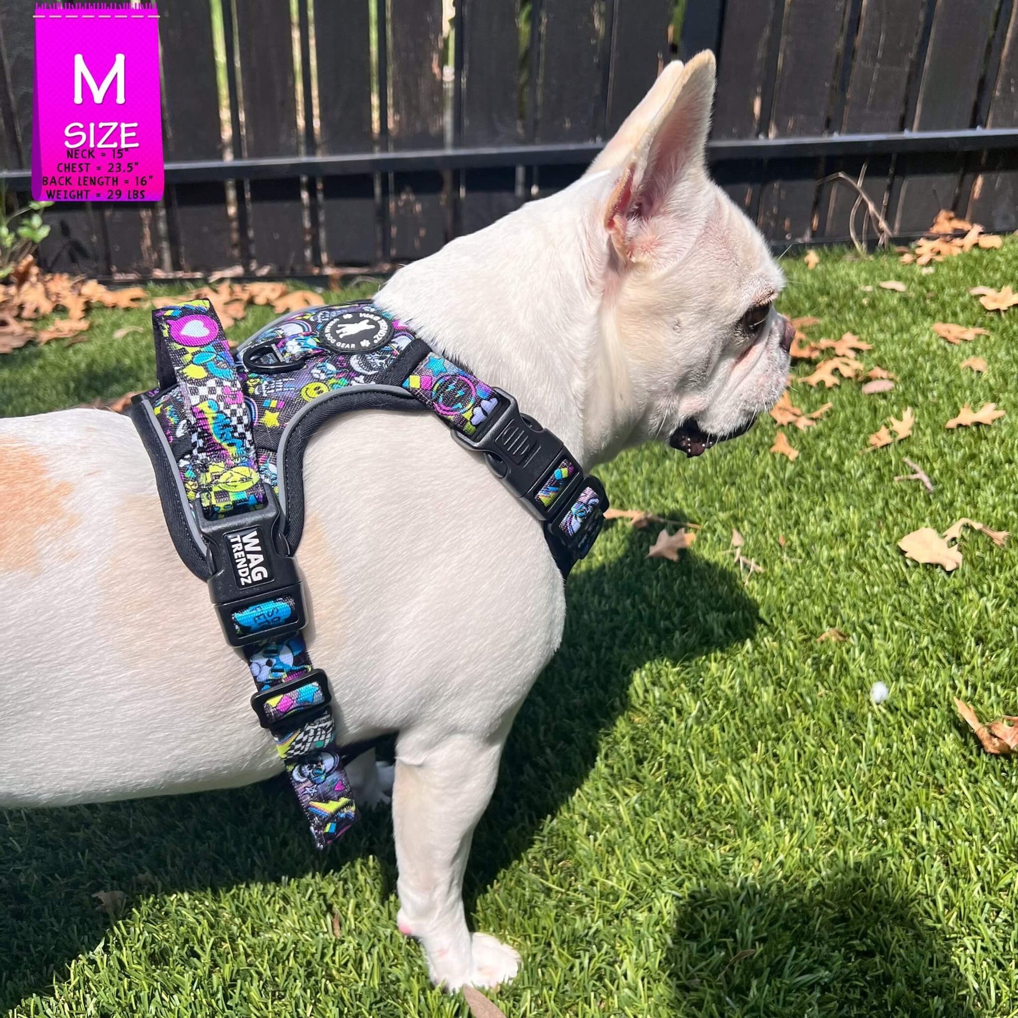 No Pull Dog Harness with Handle - Frenchie Bulldog wearing Skull Society harness with multicolored graphics in yellow, blue, purple with black background - standing outdoors in the grass - Wag Trendz