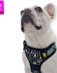 No Pull Dog Harness with Handle - French Bulldog wearing Skull Society harness with multicolored graphics in yellow, blue, purple with black background - against solid white background - Wag Trendz