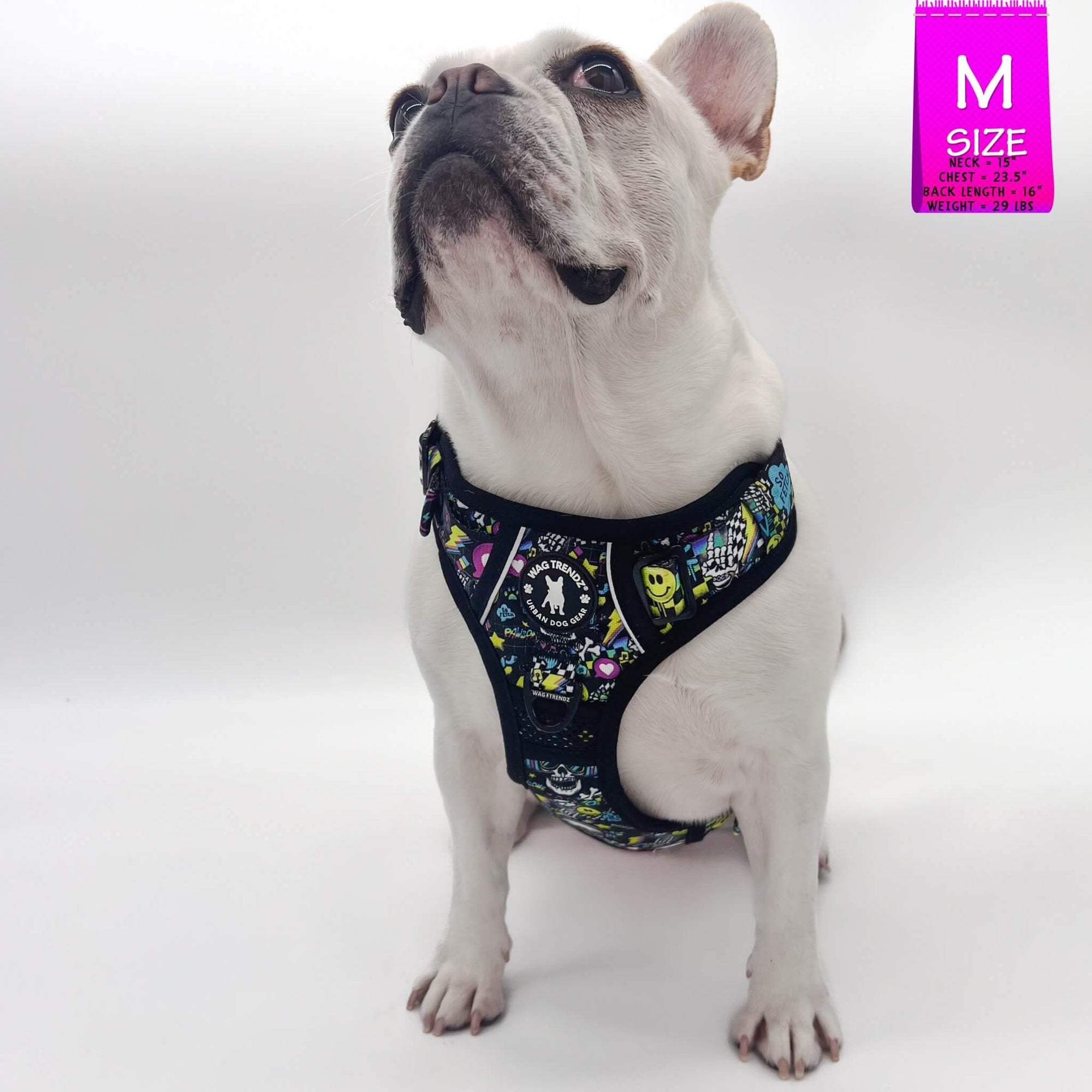 No Pull Dog Harness with Handle - Frenchie Bulldog wearing Skull Society harness with multicolored graphics in yellow, blue, purple with black background - against solid white background - Wag Trendz