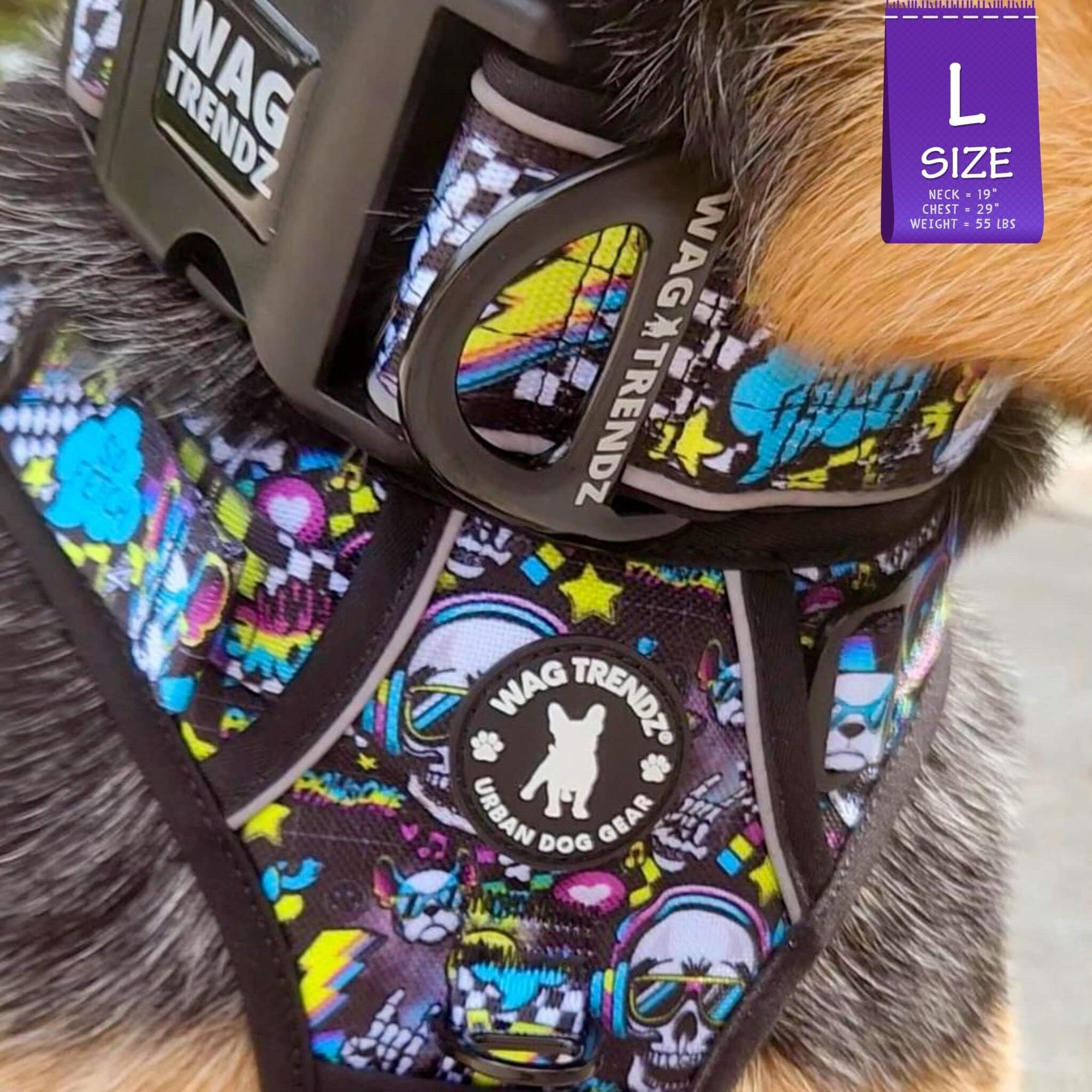 No Pull Dog Harness with Handle - Australian Cattle Dog wearing Skull Society harness and matching collar with multicolored graphics in yellow, blue, purple with black background - closeup - Wag Trendz