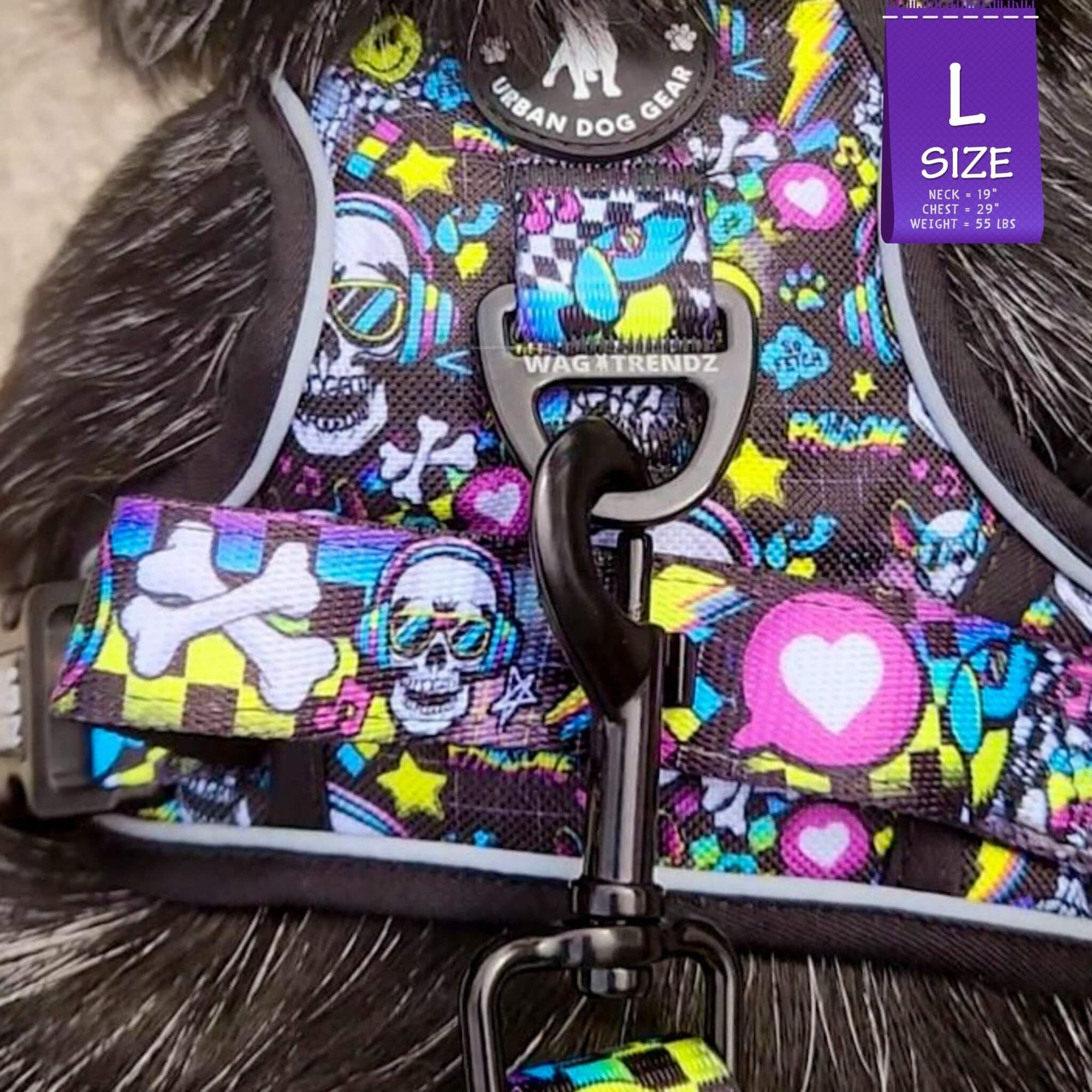 No Pull Dog Harness with Handle - Australian Cattle Dog wearing Skull Society harness with multicolored graphics in yellow, blue, purple with black background - against solid white background - Wag Trendz