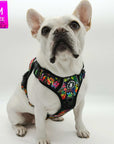 No Pull Dog Harness - with handle - French Bulldog wearing a medium multi colored Street Graffiti no pull dog harness - against solid white background - Wag Trendz