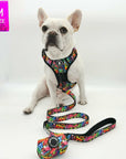 No Pull Dog Harness - with handle - French Bulldog wearing a medium multi colored Street Graffiti no pull dog harness with matching leash and poop bag holder attached - against solid white background - Wag Trendz