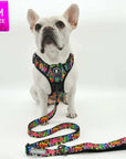 No Pull Dog Harness - with handle - French Bulldog wearing a medium multi colored Street Graffiti no pull dog harness with matching leash attached - against solid white background - Wag Trendz