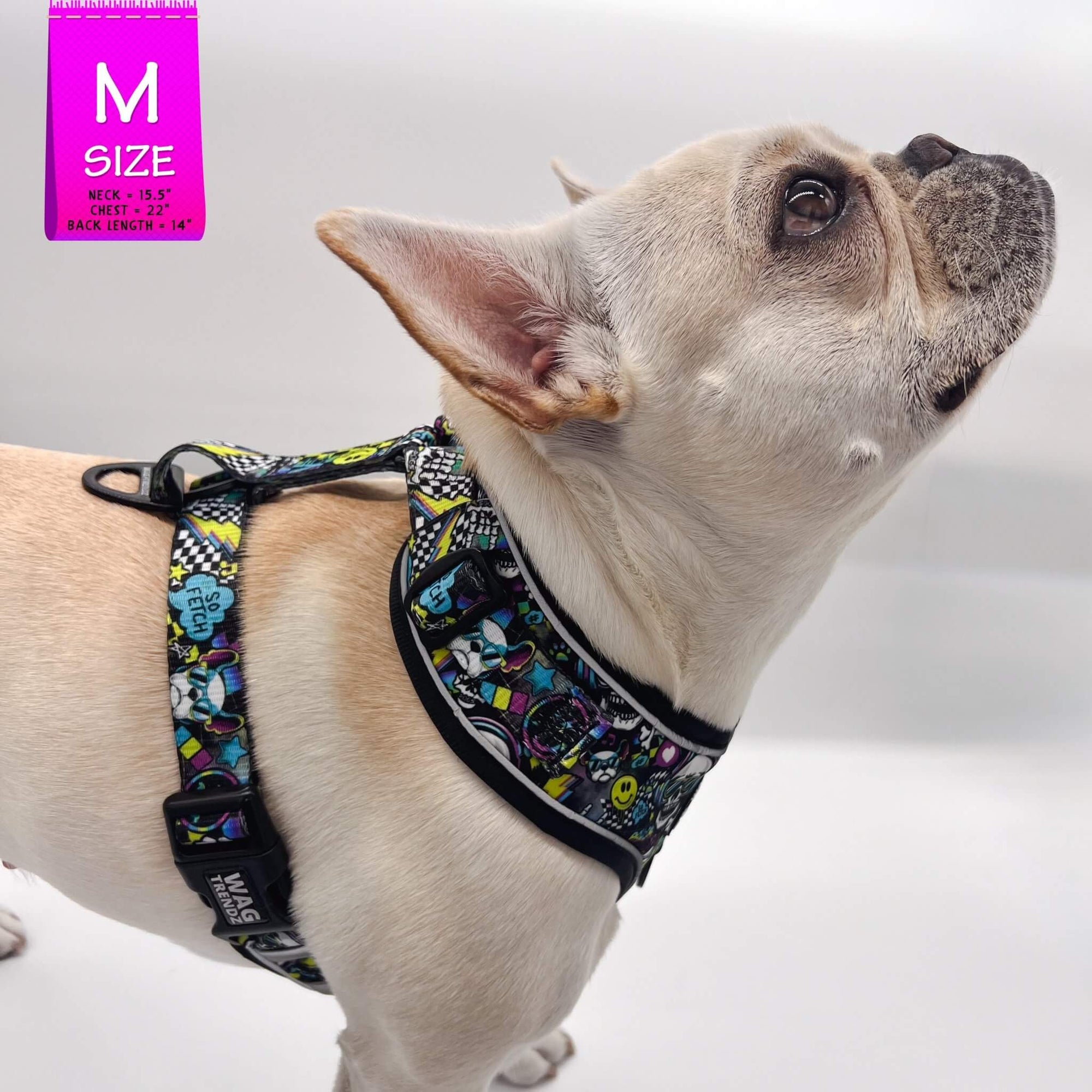 No Pull Dog Harness - Frenchie Bulldog wearing Skull Society no pull dog harness with multicolored graphics in yellow, blue, purple with black background - against solid white background - Wag Trendz