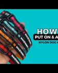 Dog Collar Harness and Leash Set - How to put on and adjust dog collar video