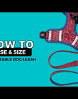 No Pull Dog Harness and Least Set - Downtown Denim - Video: How To Use And Size Adjustable Leash