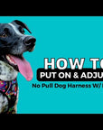 Dog Harness and Leash Set + Poo Bag Holder - Reflective and No Pull - How To Put On A Dog Harness and Adjust Video - Wag Trendz