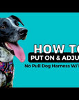 No Pull Dog Harness - With Handle - How To Put On A Dog Harness and Adjust Video - Wag Trendz