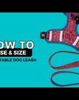 No Pull Dog Harness and Least Set + Poop  Bag Holder - Downtown Denim - Video: How To Use And Size Adjustable Leash