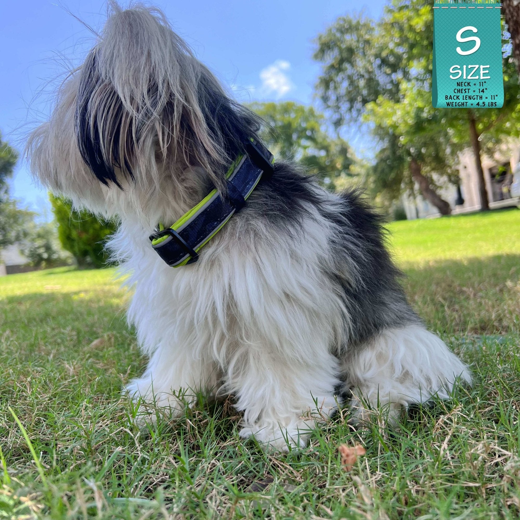 Reflective Dog Collar - Small dog wearing a small black and gray Camo reflective dog collar with hi vis accents - sitting outdoors in the grass - Wag Trendz