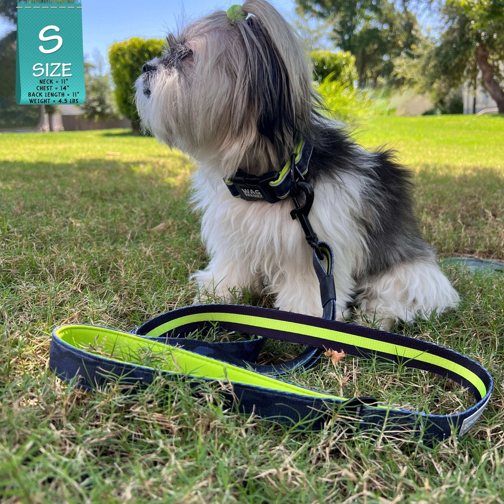 Reflective Dog Collar - Small dog wearing a small black and gray Camo reflective dog collar with hi vis accents - sitting outdoors in the grass - Wag Trendz