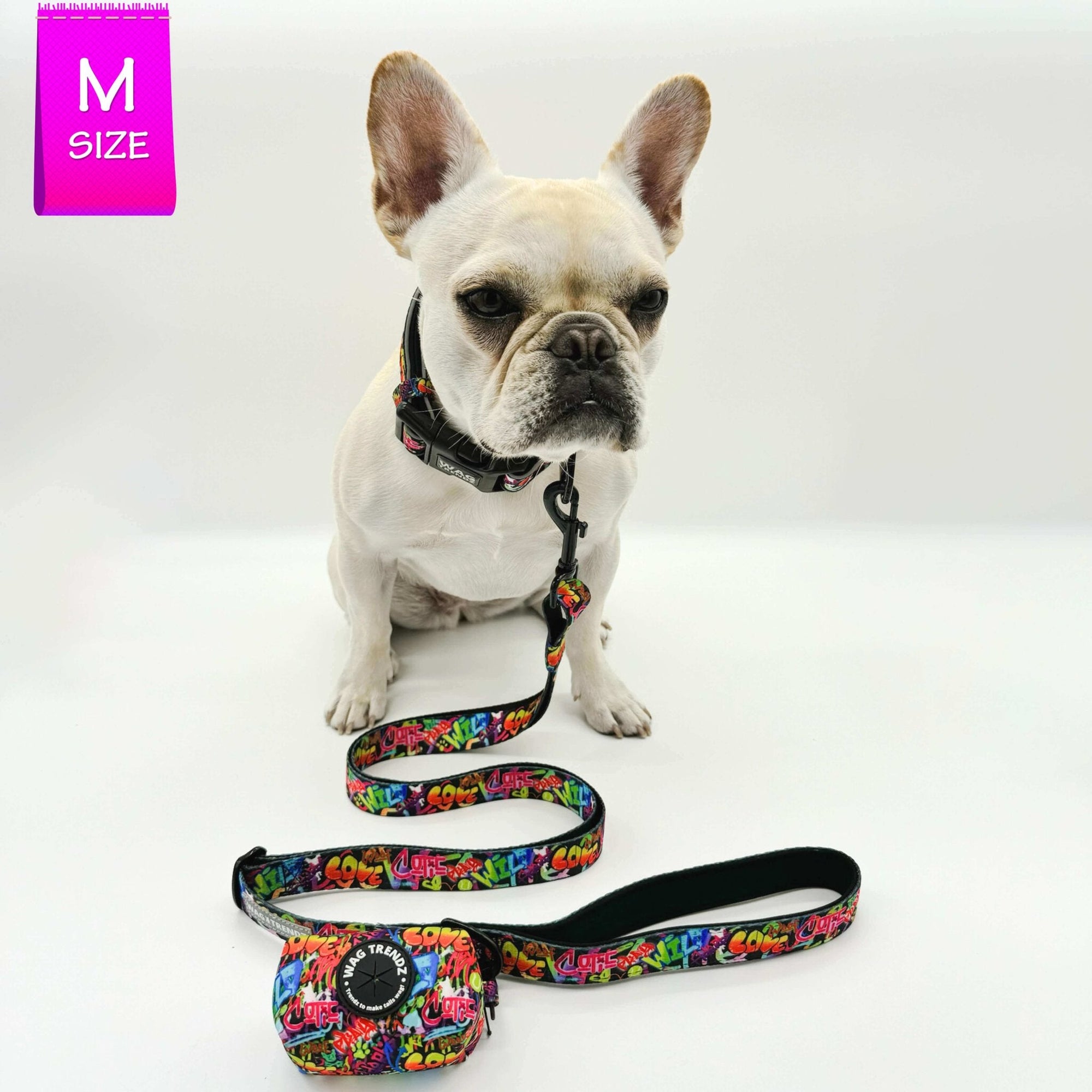 Reflective Dog Collar - Frenchie Bulldog wearing multicolored Street Graffiti Reflective Dog Collar size medium with matching leash and poop bag holder attached - against solid white background - Wag Trendz